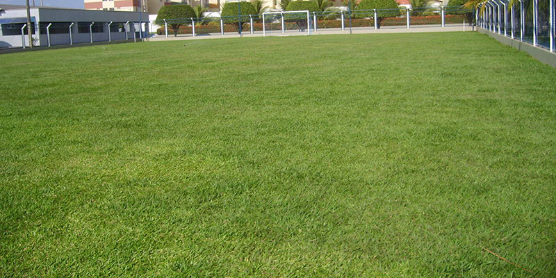 Campos de futebol e gramados